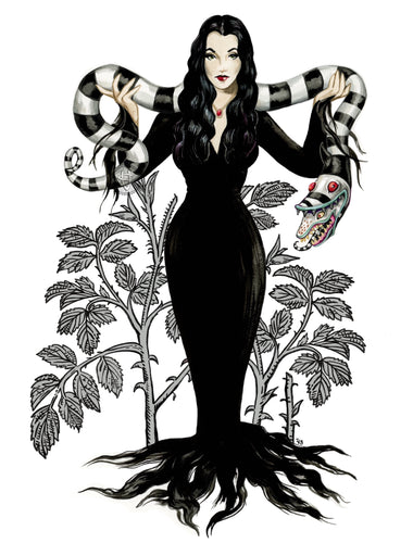 Morticia + Sandsnake