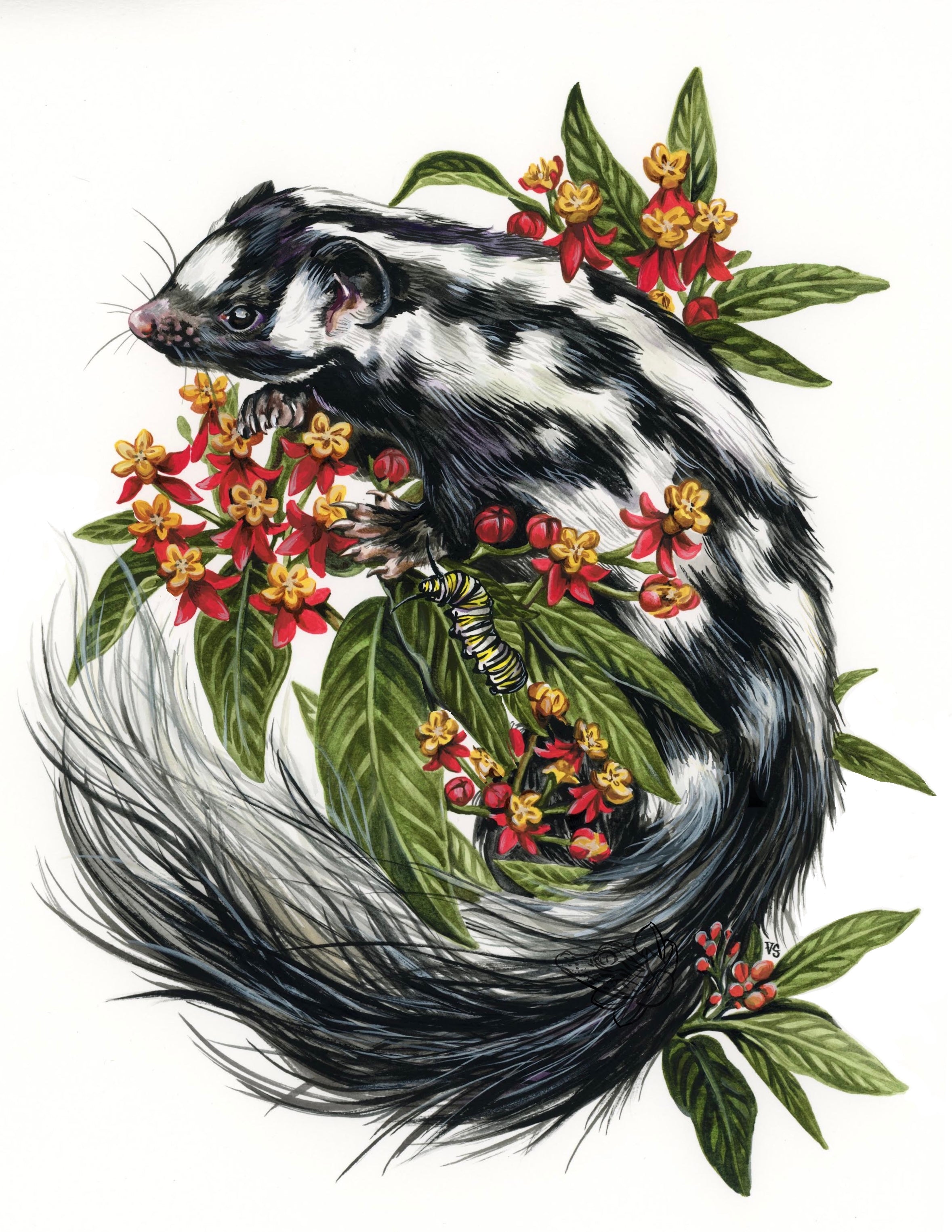 Skunk - Skunk Shirt - Skunk Drawing - Skunk Painting - Skunk Lovers - Skunk  Gift - Gift For Skunk Lovers Art Board Print for Sale by Galvanized
