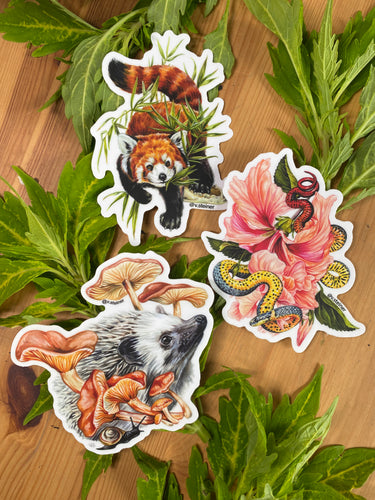 Hedgie sticker set