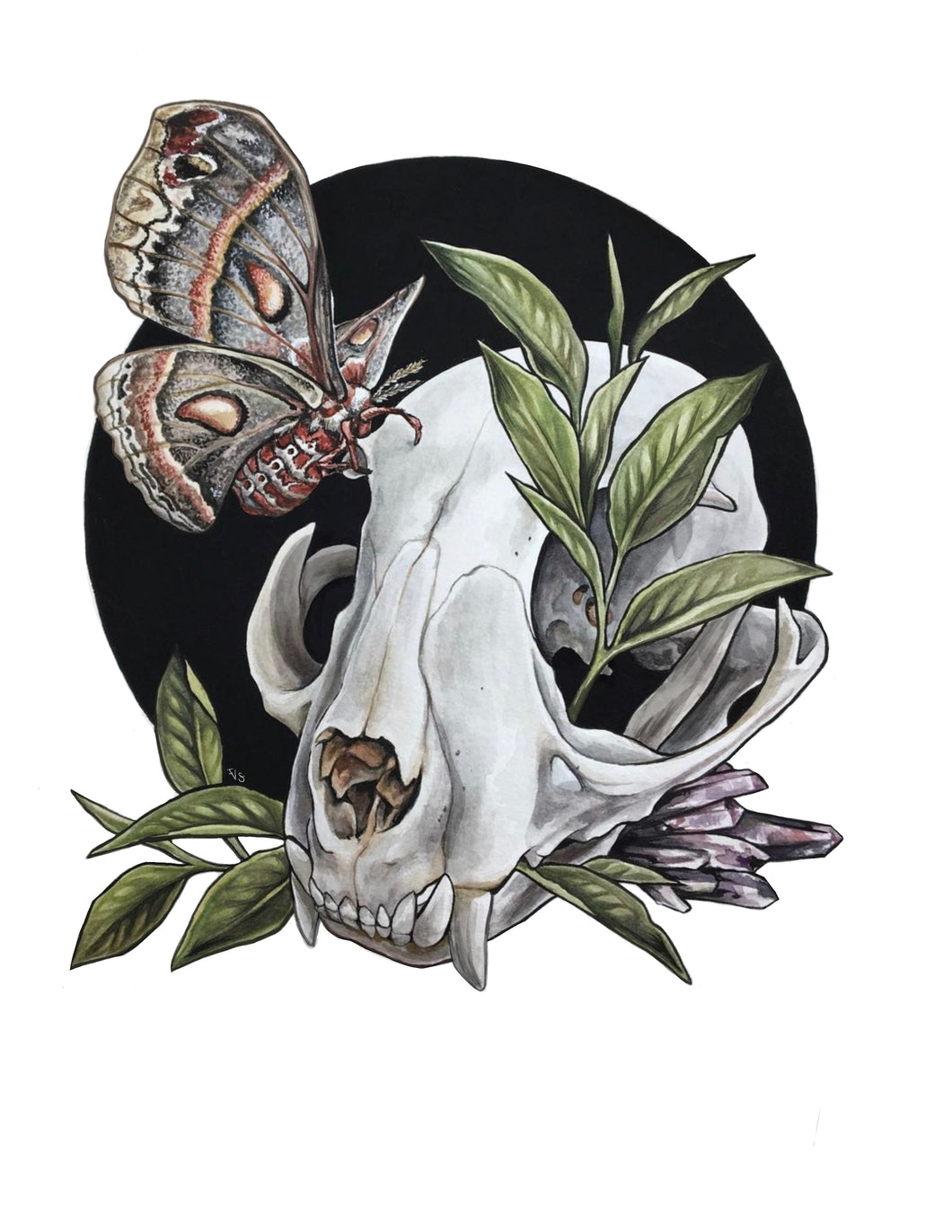 Moth + Cat Skull Print – vsteiner